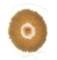 biodinamica14_small.jpg