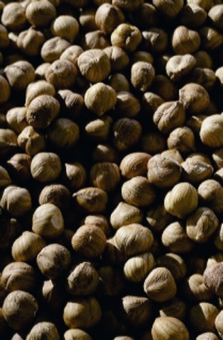 nocciole6.jpg